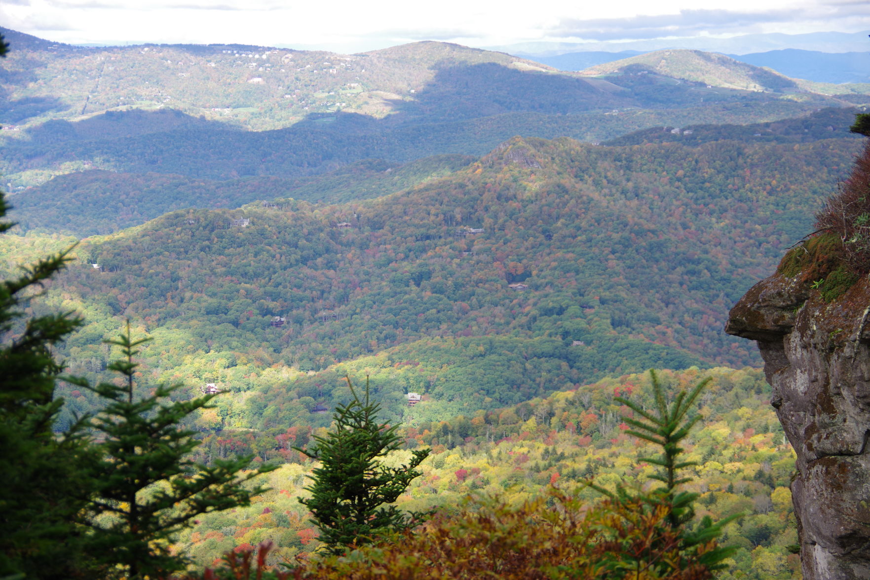 Fall Colors